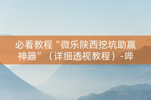 必看教程“微乐陕西挖坑助赢神器”（详细透视教程）-哔哩哔哩
