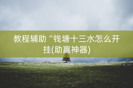 教程辅助“钱塘十三水怎么开挂(助赢神器)