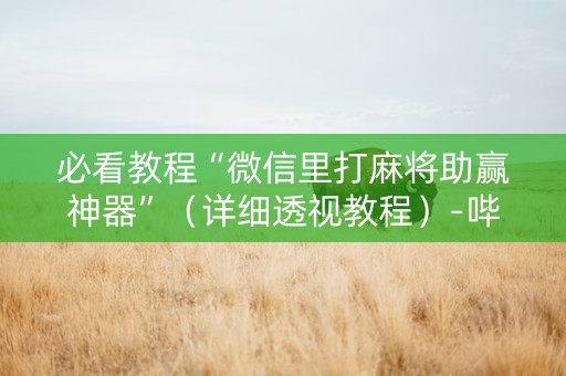 必看教程“微信里打麻将助赢神器”（详细透视教程）-哔哩哔哩