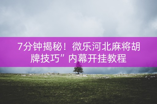 7分钟揭秘！微乐河北麻将胡牌技巧”内幕开挂教程