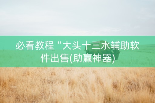 必看教程“大头十三水辅助软件出售(助赢神器)