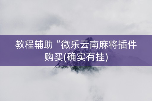 教程辅助“微乐云南麻将插件购买(确实有挂)