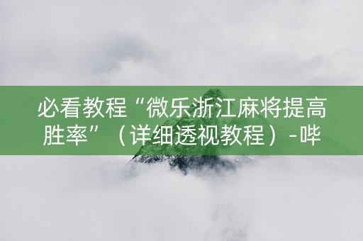 必看教程“微乐浙江麻将提高胜率”（详细透视教程）-哔哩哔哩