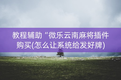 教程辅助“微乐云南麻将插件购买(怎么让系统给发好牌)