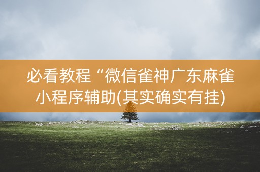 必看教程“微信雀神广东麻雀小程序辅助(其实确实有挂)