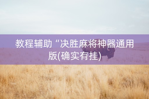 教程辅助“决胜麻将神器通用版(确实有挂)