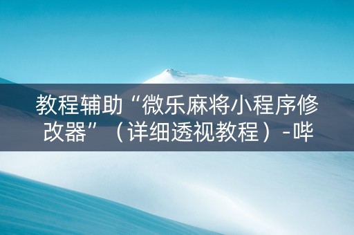教程辅助“微乐麻将小程序修改器”（详细透视教程）-哔哩哔哩