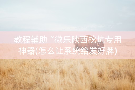 教程辅助“微乐陕西挖坑专用神器(怎么让系统给发好牌)