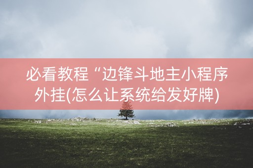 必看教程“边锋斗地主小程序外挂(怎么让系统给发好牌)