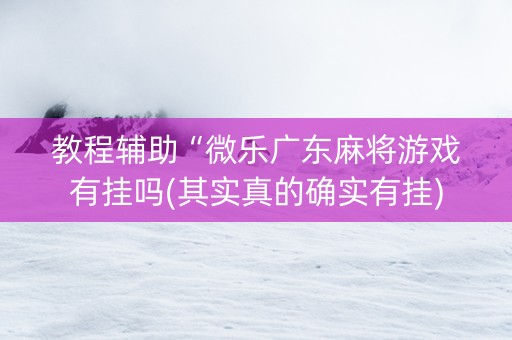 教程辅助“微乐广东麻将游戏有挂吗(其实真的确实有挂)