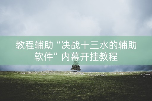 教程辅助“决战十三水的辅助软件”内幕开挂教程