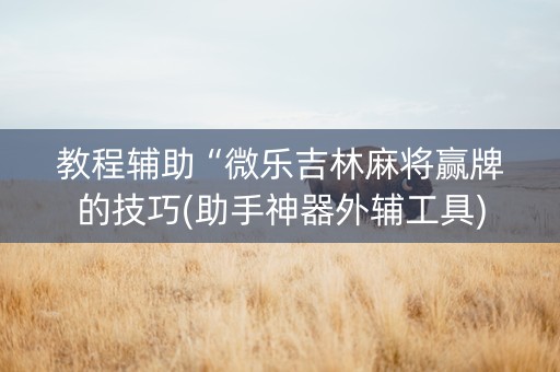 教程辅助“微乐吉林麻将赢牌的技巧(助手神器外辅工具)