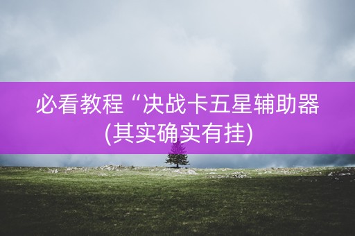 必看教程“决战卡五星辅助器(其实确实有挂)