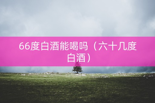 66度白酒能喝吗（六十几度白酒）