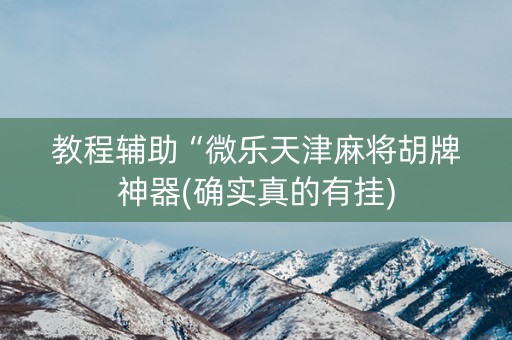 教程辅助“微乐天津麻将胡牌神器(确实真的有挂)