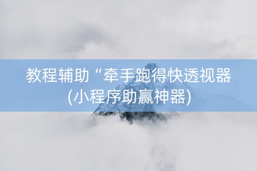 教程辅助“牵手跑得快透视器(小程序助赢神器)