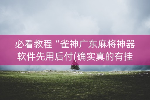 必看教程“雀神广东麻将神器软件先用后付(确实真的有挂)