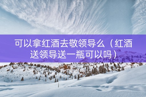可以拿红酒去敬领导么（红酒送领导送一瓶可以吗）