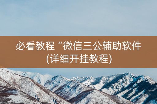 必看教程“微信三公辅助软件(详细开挂教程)