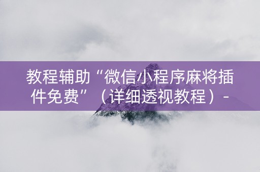 教程辅助“微信小程序麻将插件免费”（详细透视教程）-哔哩哔哩
