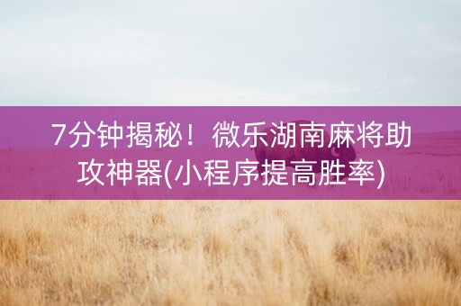 7分钟揭秘！微乐湖南麻将助攻神器(小程序提高胜率)