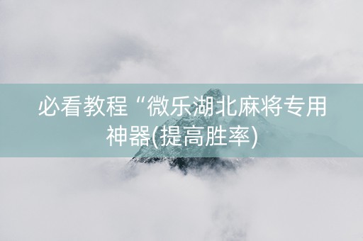 必看教程“微乐湖北麻将专用神器(提高胜率)