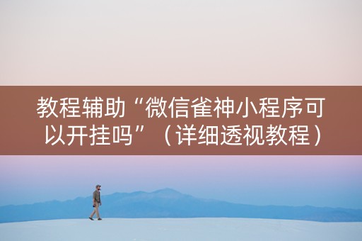 教程辅助“微信雀神小程序可以开挂吗”（详细透视教程）-哔哩哔哩