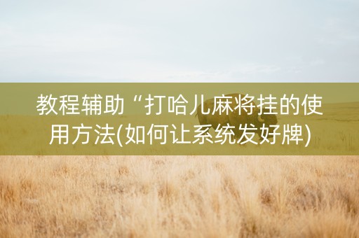教程辅助“打哈儿麻将挂的使用方法(如何让系统发好牌)