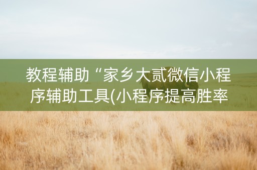 教程辅助“家乡大贰微信小程序辅助工具(小程序提高胜率)