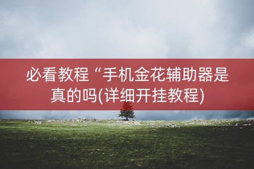 必看教程“手机金花辅助器是真的吗(详细开挂教程)