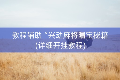 教程辅助“兴动麻将漏宝秘籍(详细开挂教程)