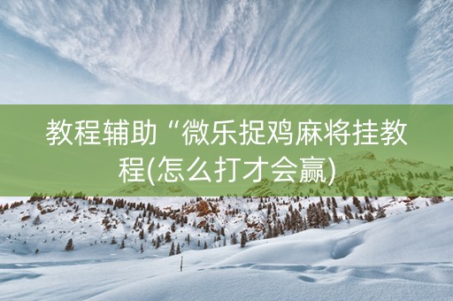 教程辅助“微乐捉鸡麻将挂教程(怎么打才会赢)