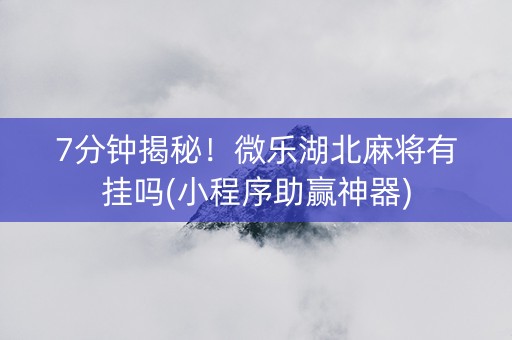 7分钟揭秘！微乐湖北麻将有挂吗(小程序助赢神器)
