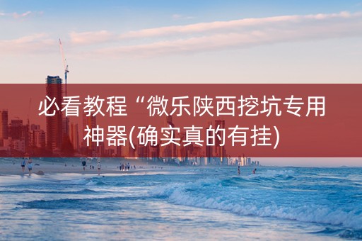 必看教程“微乐陕西挖坑专用神器(确实真的有挂)