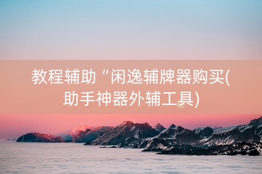 教程辅助“闲逸辅牌器购买(助手神器外辅工具)