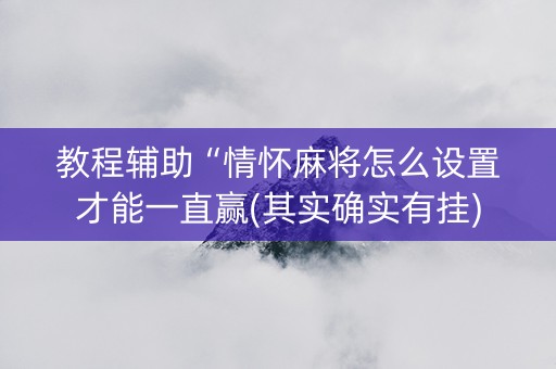 教程辅助“情怀麻将怎么设置才能一直赢(其实确实有挂)