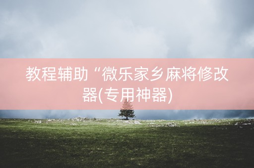教程辅助“微乐家乡麻将修改器(专用神器)