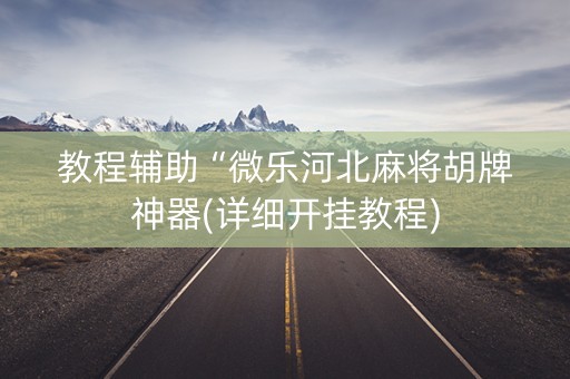 教程辅助“微乐河北麻将胡牌神器(详细开挂教程)