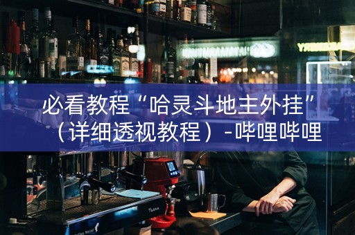 必看教程“哈灵斗地主外挂”（详细透视教程）-哔哩哔哩