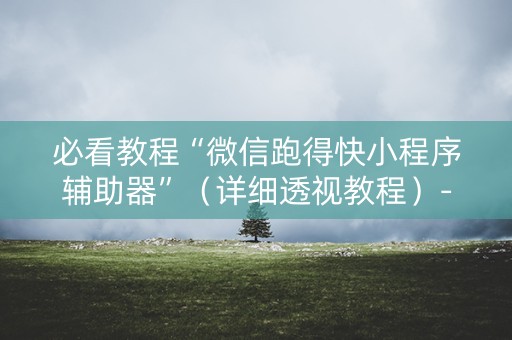 必看教程“微信跑得快小程序辅助器”（详细透视教程）-哔哩哔哩