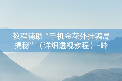 教程辅助“手机金花外挂骗局揭秘”（详细透视教程）-哔哩哔哩