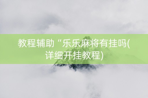 教程辅助“乐乐麻将有挂吗(详细开挂教程)
