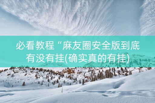 必看教程“麻友圈安全版到底有没有挂(确实真的有挂)