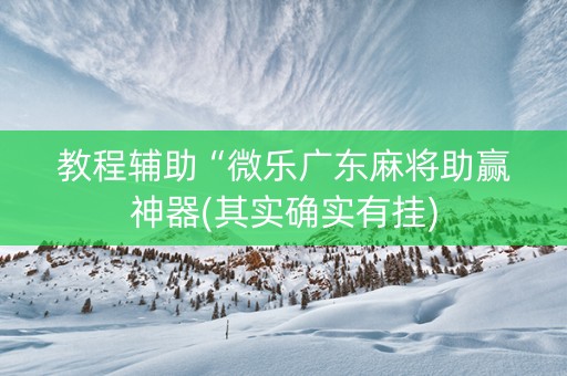 教程辅助“微乐广东麻将助赢神器(其实确实有挂)