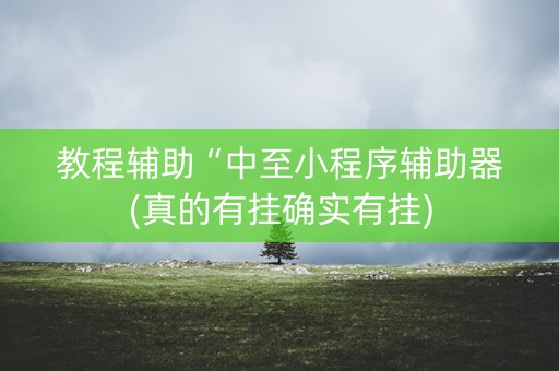 教程辅助“中至小程序辅助器(真的有挂确实有挂)