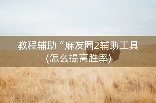 教程辅助“麻友圈2辅助工具(怎么提高胜率)