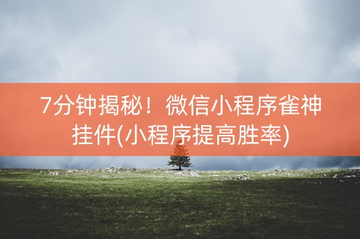 7分钟揭秘！微信小程序雀神挂件(小程序提高胜率)