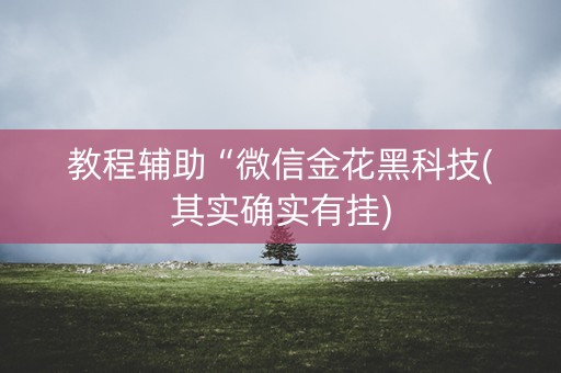 教程辅助“微信金花黑科技(其实确实有挂)