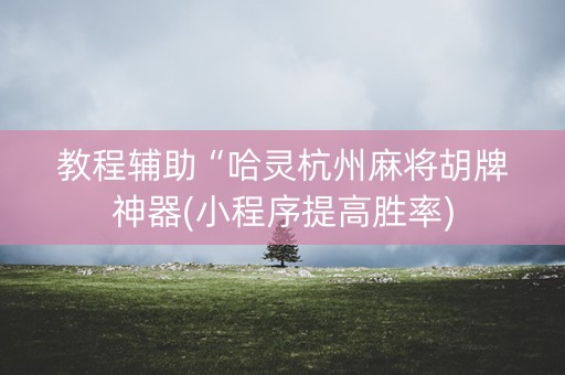 教程辅助“哈灵杭州麻将胡牌神器(小程序提高胜率)