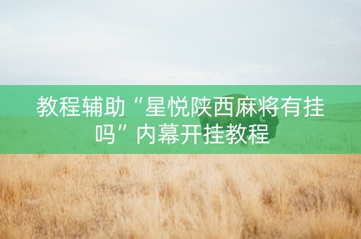 教程辅助“星悦陕西麻将有挂吗”内幕开挂教程